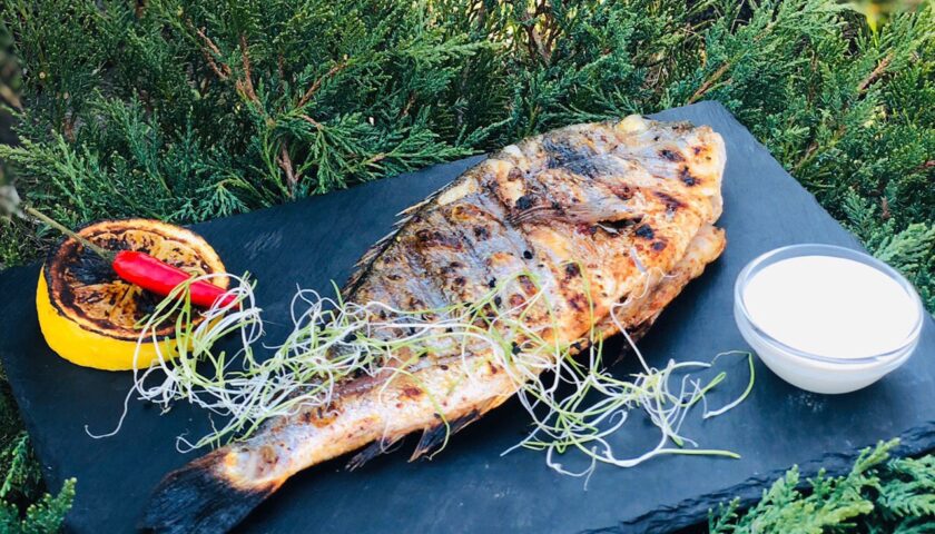 photo5345961715231206736 photo5345961715231206736